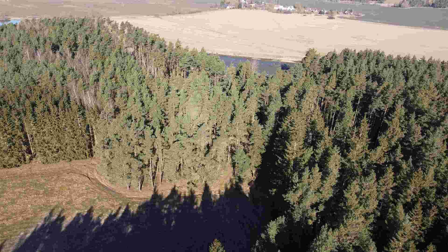 Prodej pozemku 4 563 m² – fotografie 3