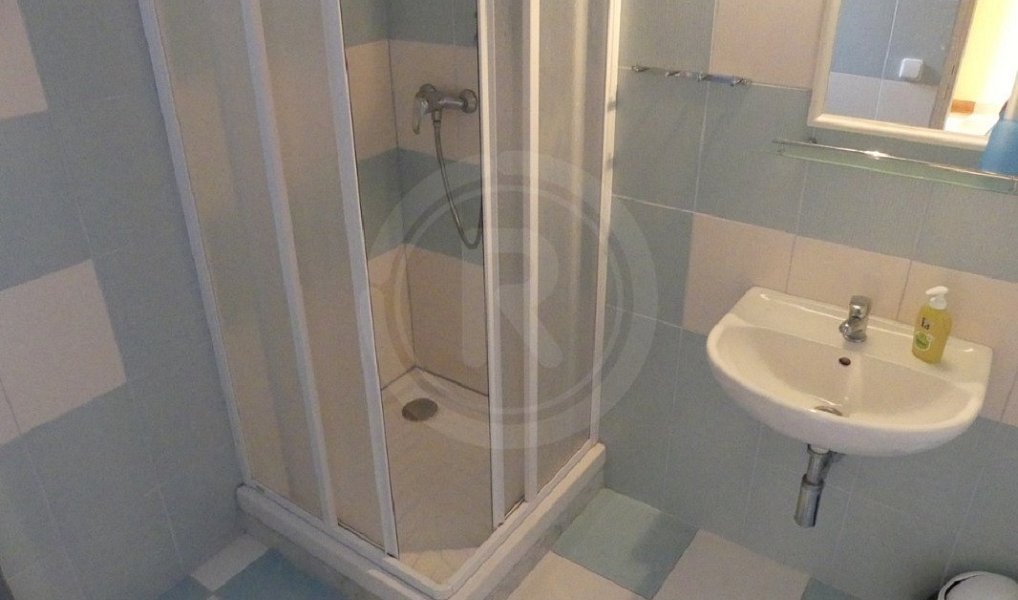 Prodej nájemního domu, činžáku 450 m², Pištín – náhled fotky 11