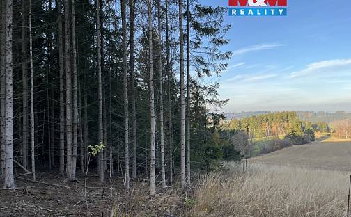 Prodej lesa 38 344 m², Borovnice, okres Žďár nad Sázavou