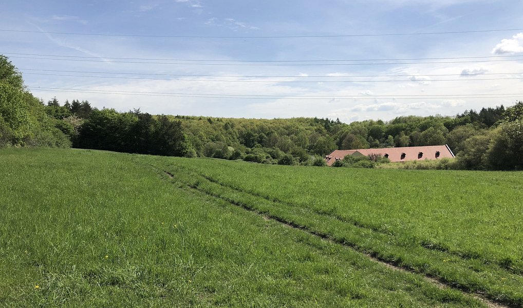 Prodej louky 24 023 m², Praha – náhled fotky 6