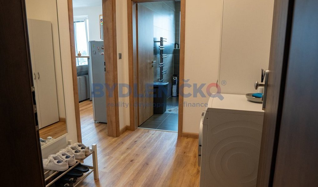 Prodej bytu 1+kk 45 m², České Budějovice – náhled fotky 8