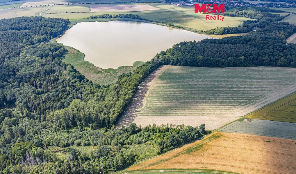 Prodej lesa 11 971 m², Bohuslavice – náhled fotky 4
