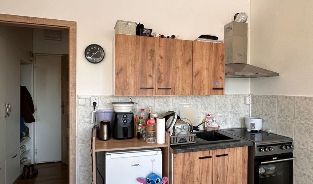 Prodej bytu 1+kk 21 m², Teplice – náhled fotky 8