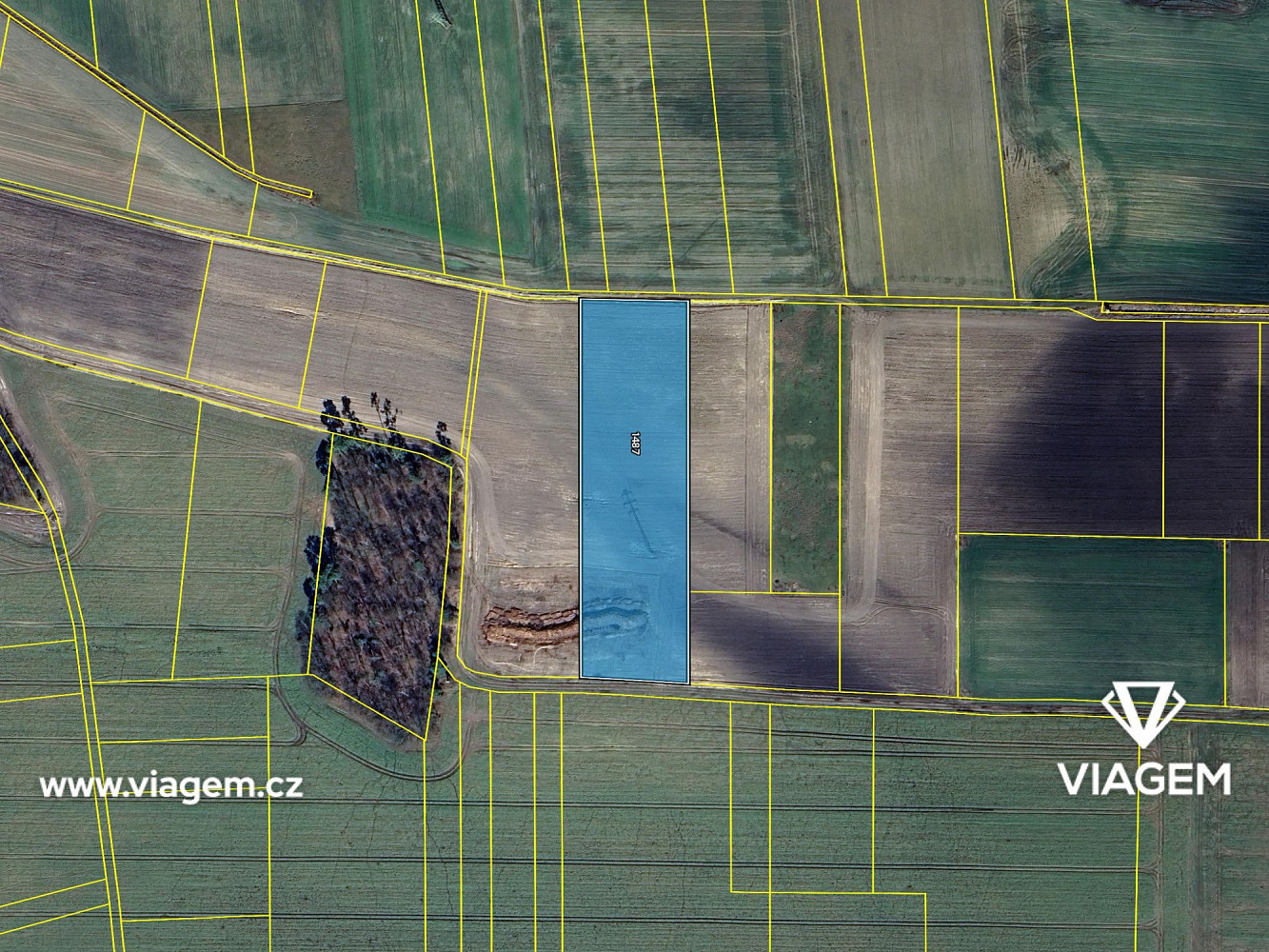 Prodej pole 450 m² – fotografie 4