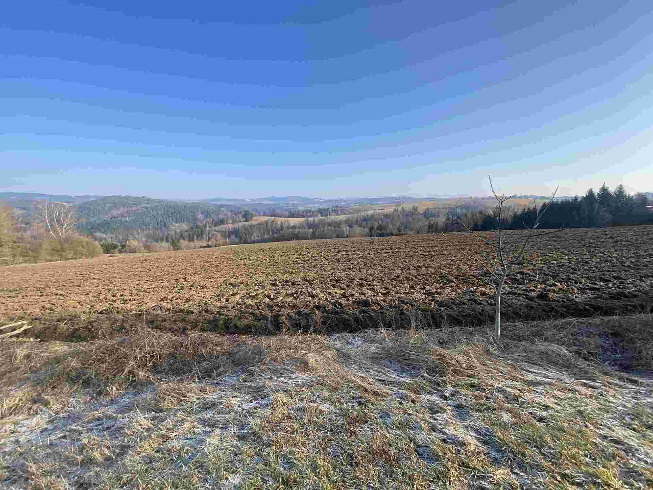 Prodej pole 28 066 m² – fotografie 3