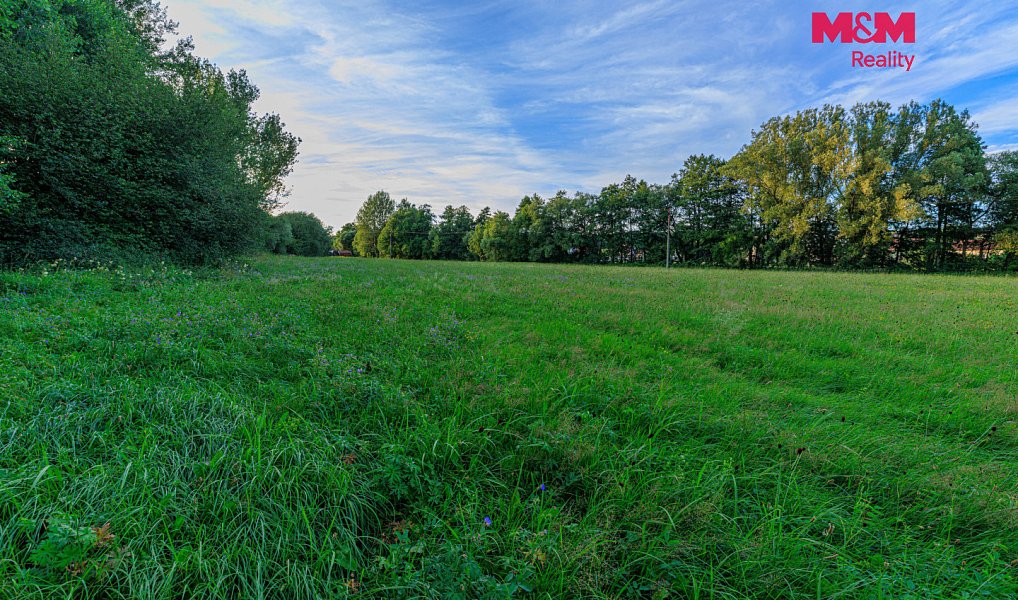 Prodej louky 4 590 m², Horní Bříza – náhled fotky 14