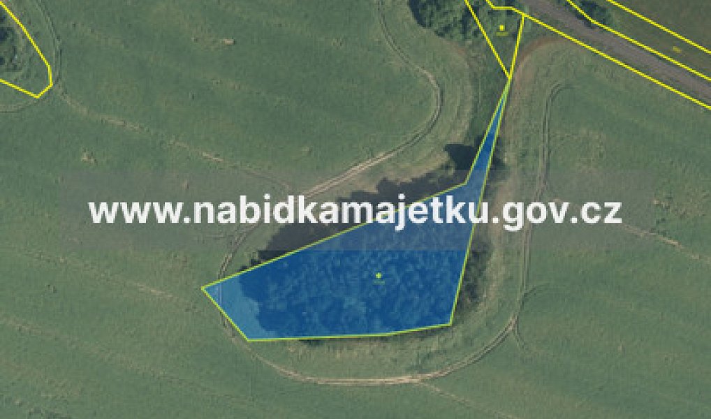 Prodej pozemku 6 070 m², Bor – náhled fotky 2