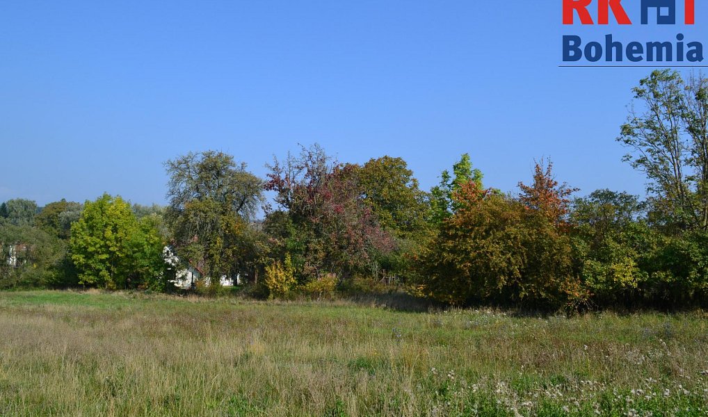Prodej chaty/chalupy 120 m² s pozemkem 16 365 m², Cholenice – náhled fotky 8