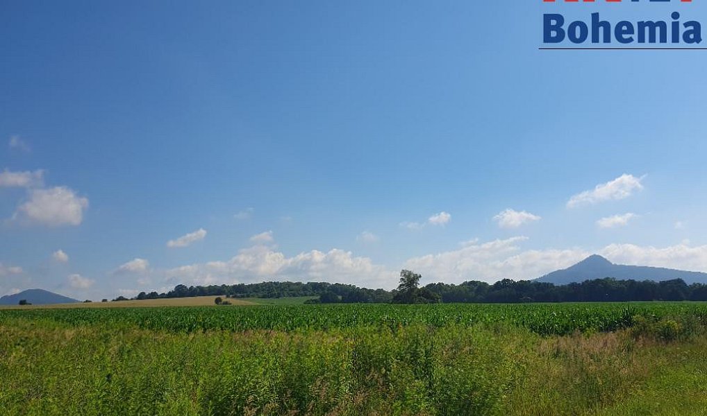 Prodej pozemku 49 299 m², Pertoltice pod Ralskem – náhled fotky 5