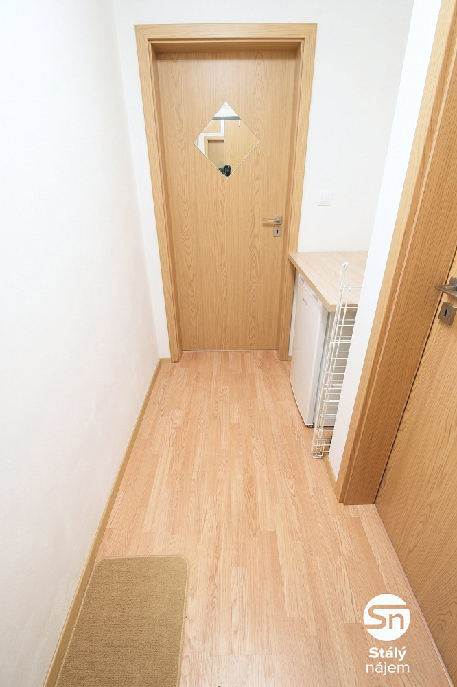 Pronájem bytu 1+kk 32 m² – další