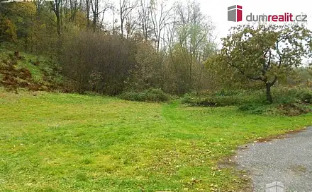 Prodej stavebního pozemku 10 000 m², Petrovice, okres Ústí nad Labem