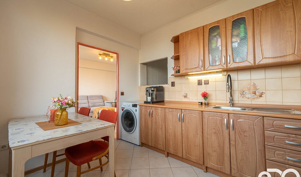 Prodej bytu 1+1 40 m², Mladá Boleslav – náhled fotky 10