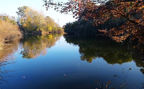 Prodej louky 5 838 m², Bulhary, okres Břeclav