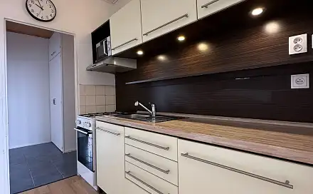 Pronájem bytu 3+1 61 m²