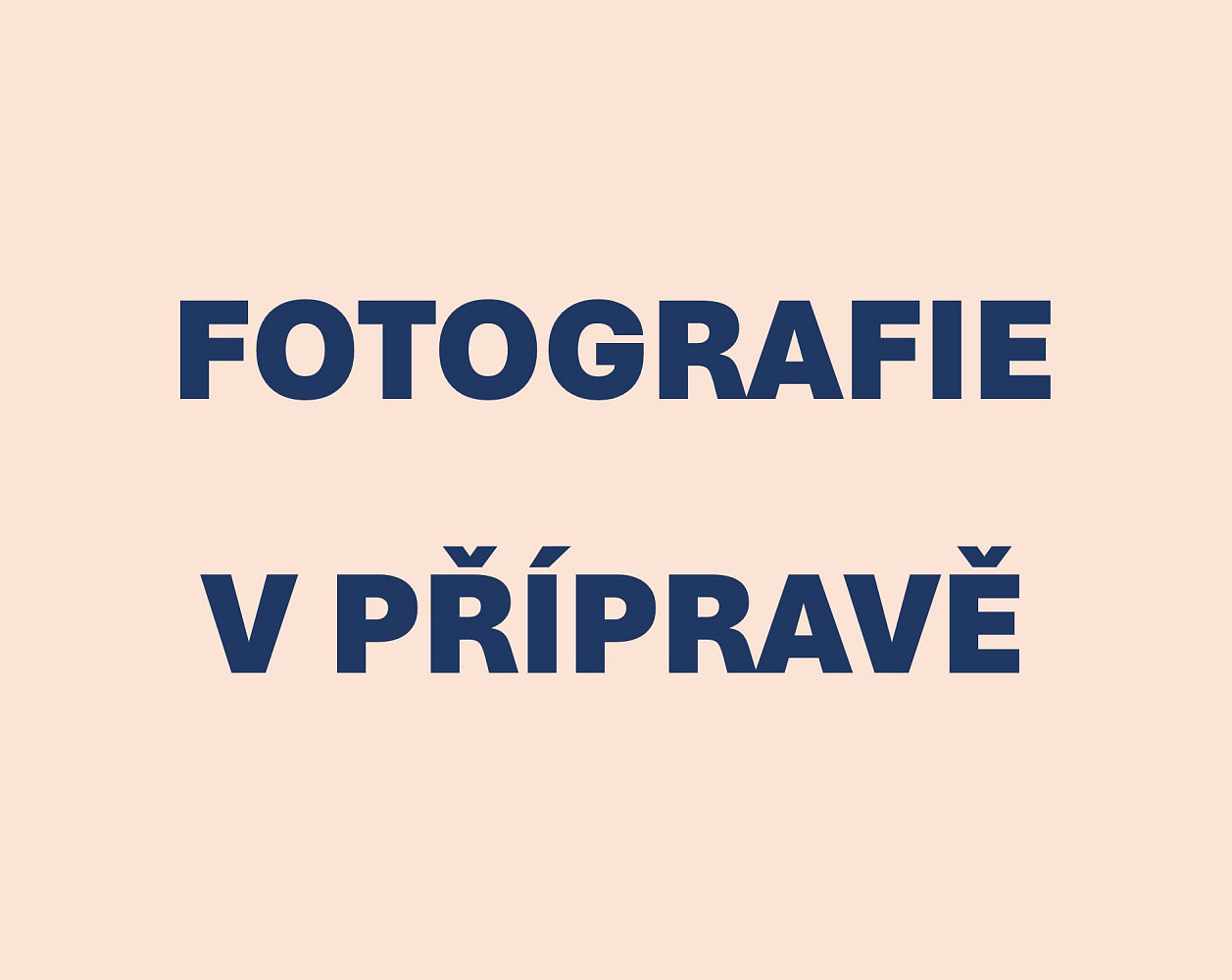 Prodej bytu 3+1 55 m²