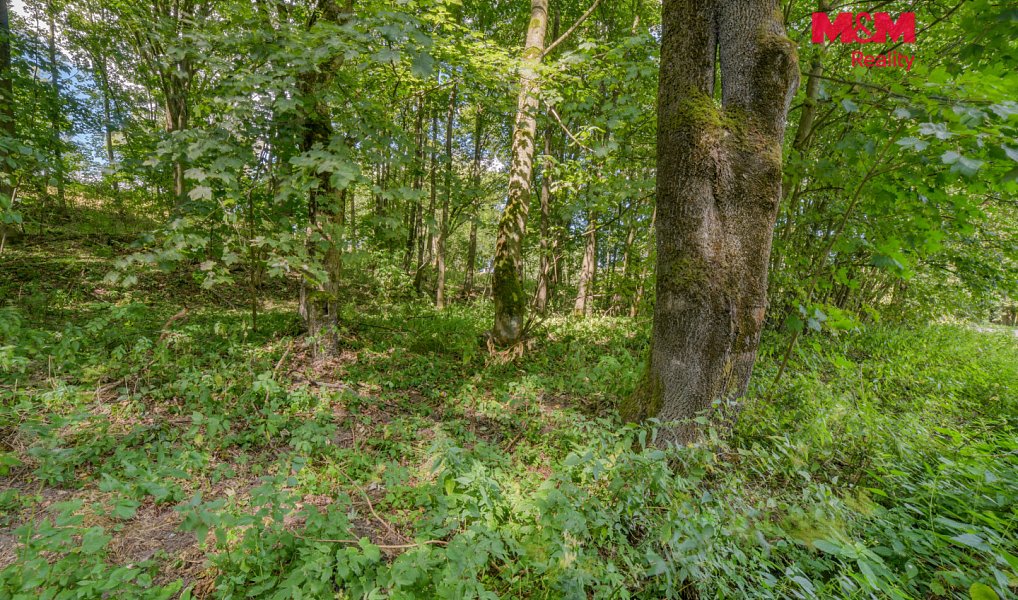 Prodej stavebního pozemku 1 858 m², Březová – náhled fotky 3