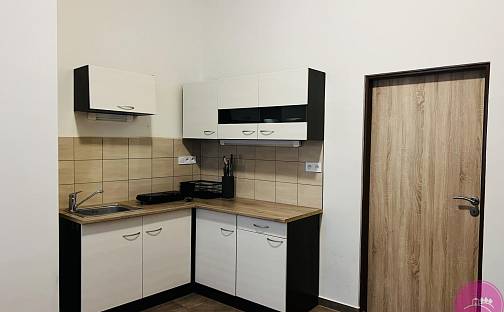 Pronájem bytu 2+1 100 m², Riegrova, Olomouc