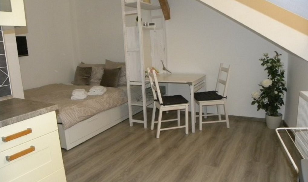 Pronájem bytu 1+kk 24 m², Jihlava – náhled fotky 4