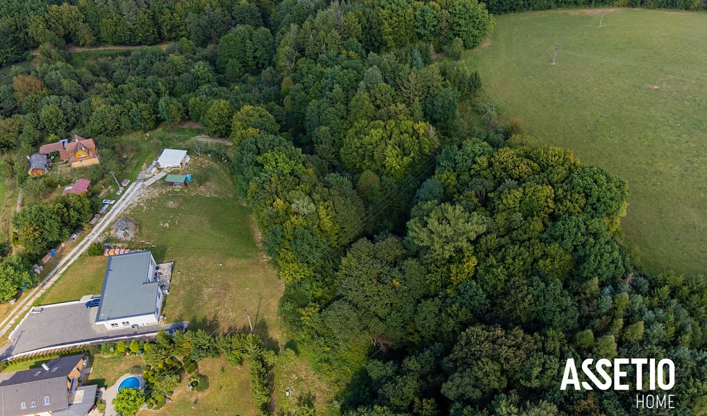 Prodej stavebního pozemku 2 906 m², Veselá – náhled fotky 7