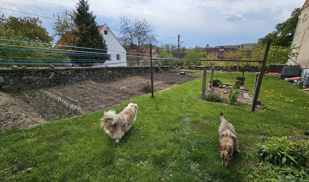 Prodej domu 800 m² s pozemkem 1 634 m², Úštěk – náhled fotky 19