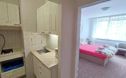 Pronájem bytu 1+kk 30 m², Svat. Čecha, Zlín