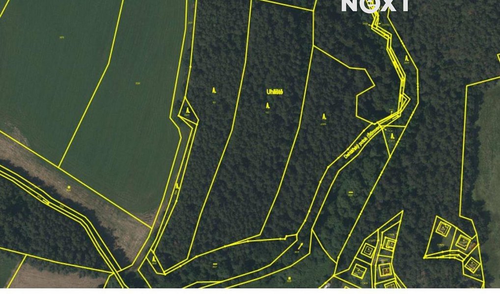 Prodej lesa 13 404 m², Hradce – náhled fotky 4