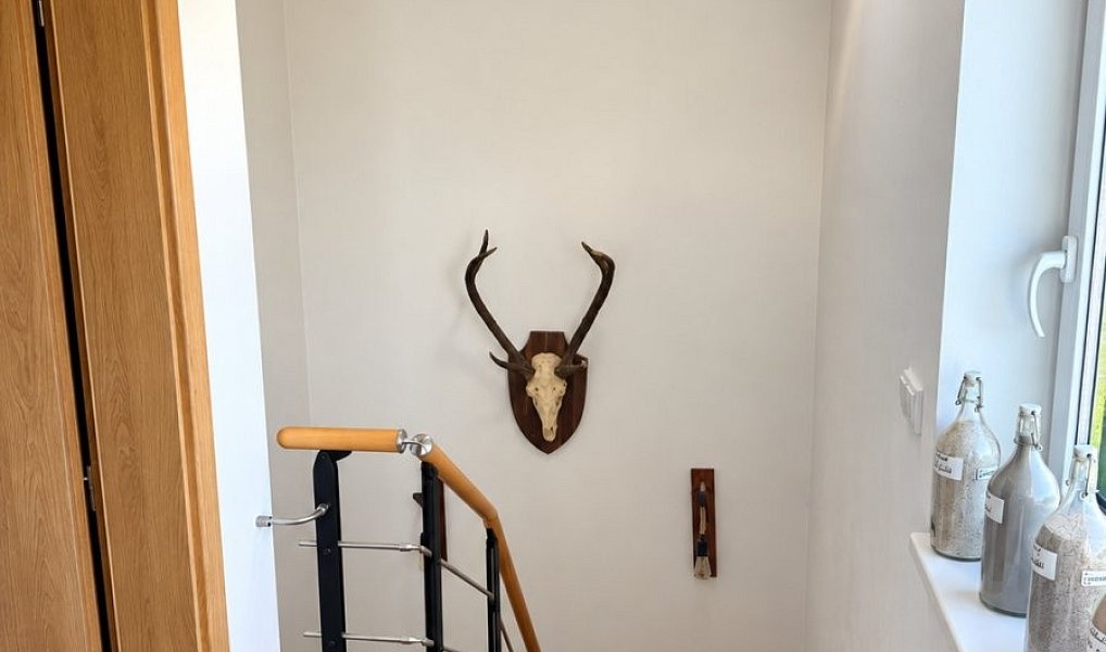 Prodej domu 124 m² s pozemkem 354 m², Rudná – náhled fotky 20