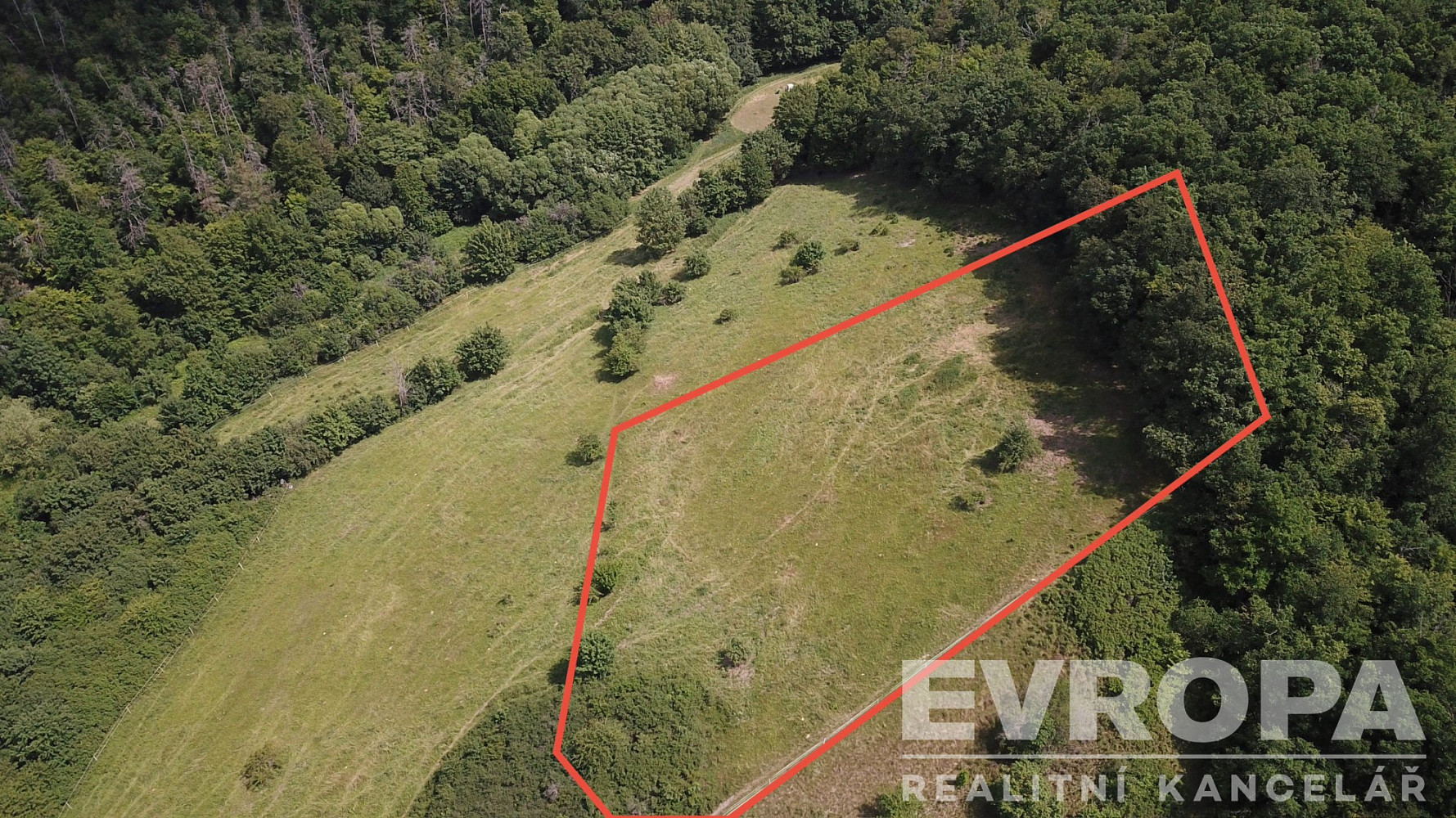 Prodej louky 3 521 m²