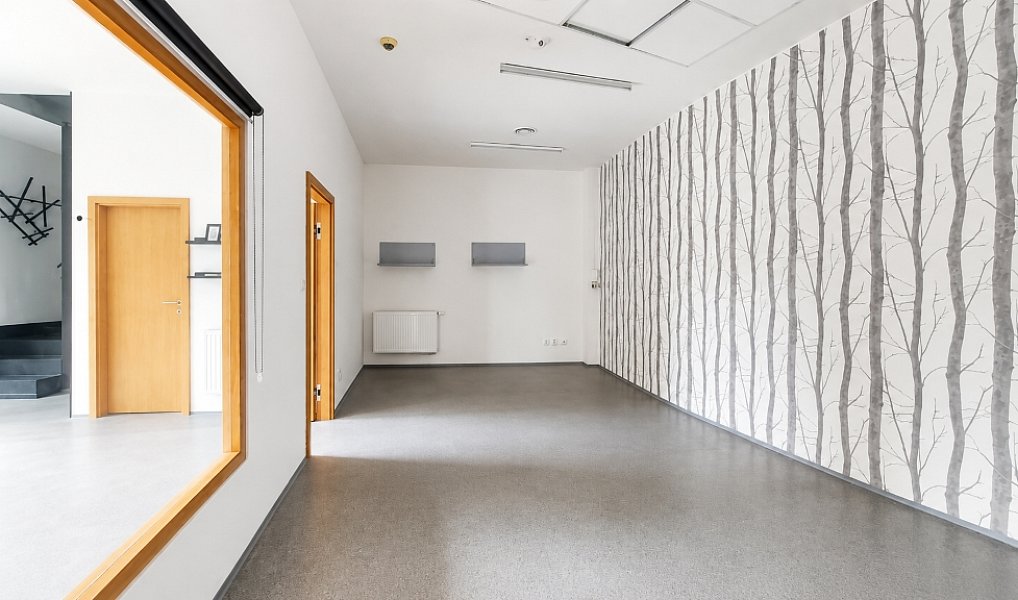 Pronájem obchodních prostor 161 m², Ostrava – náhled fotky 7