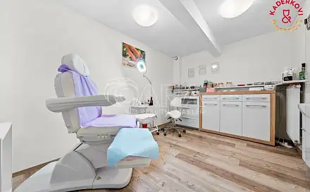 Prodej obchodních prostor 172 m², Lidická, Brno - Veveří