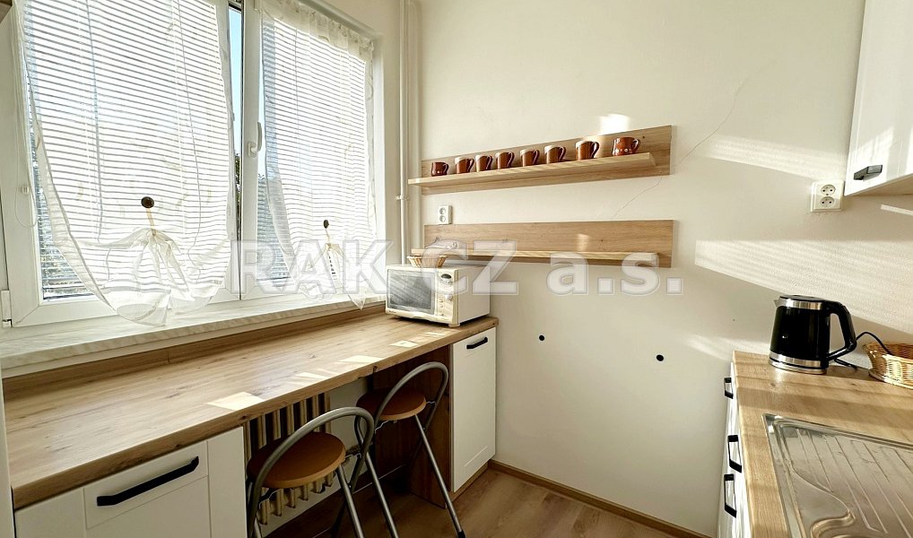 Pronájem bytu 3+1 57 m², Praha – náhled fotky 7
