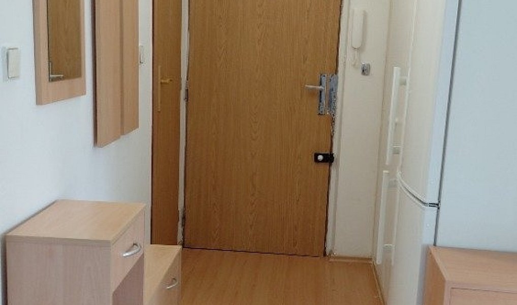 Pronájem bytu 3+1 59 m², Hradec Králové – náhled fotky 15