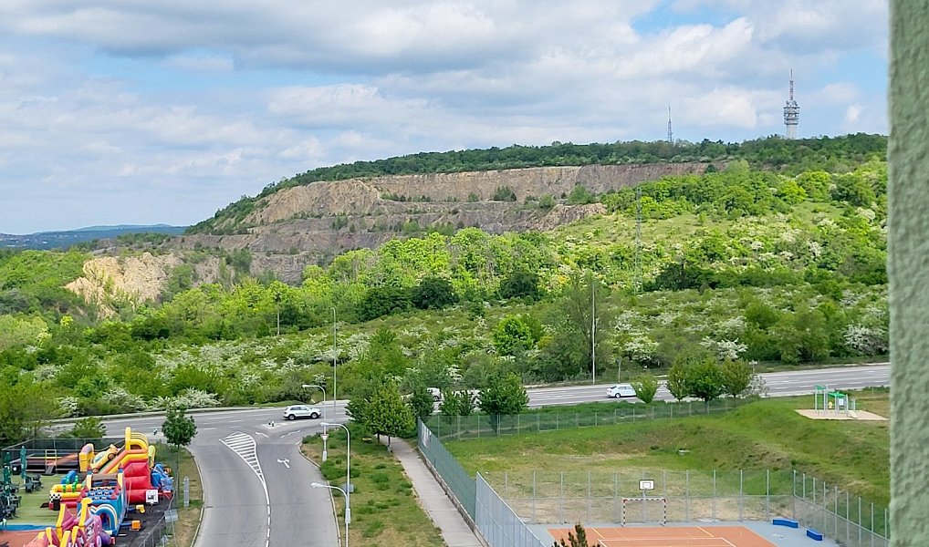 Prodej bytu 3+1 74 m², Brno – náhled fotky 35
