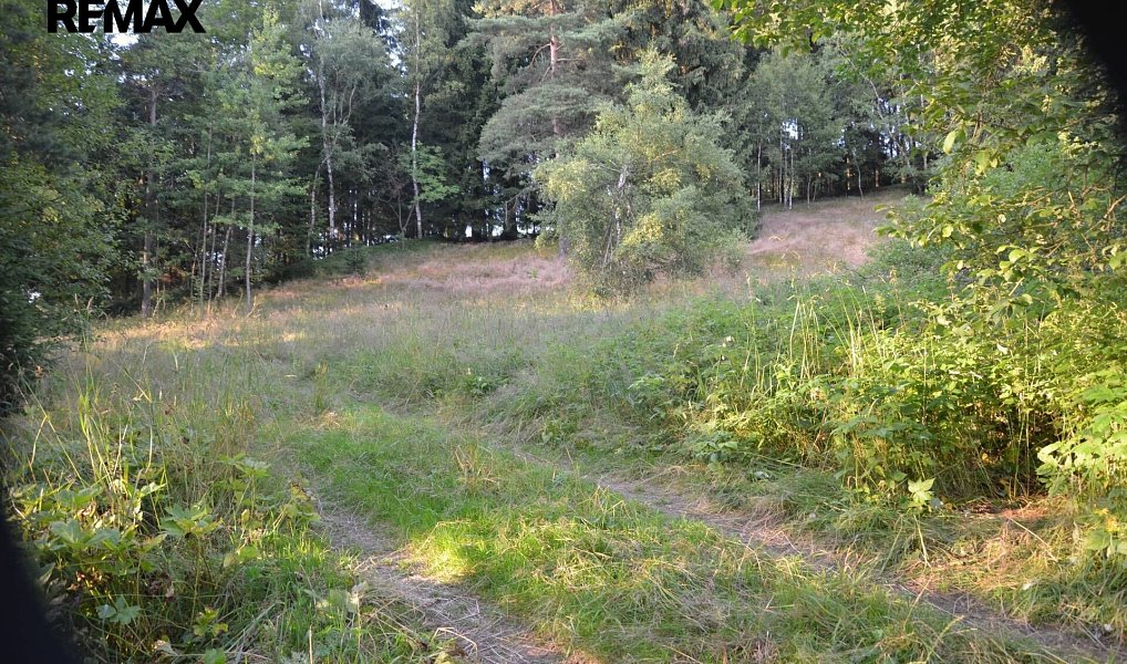 Prodej stavebního pozemku 4 424 m², Bublava – náhled fotky 5