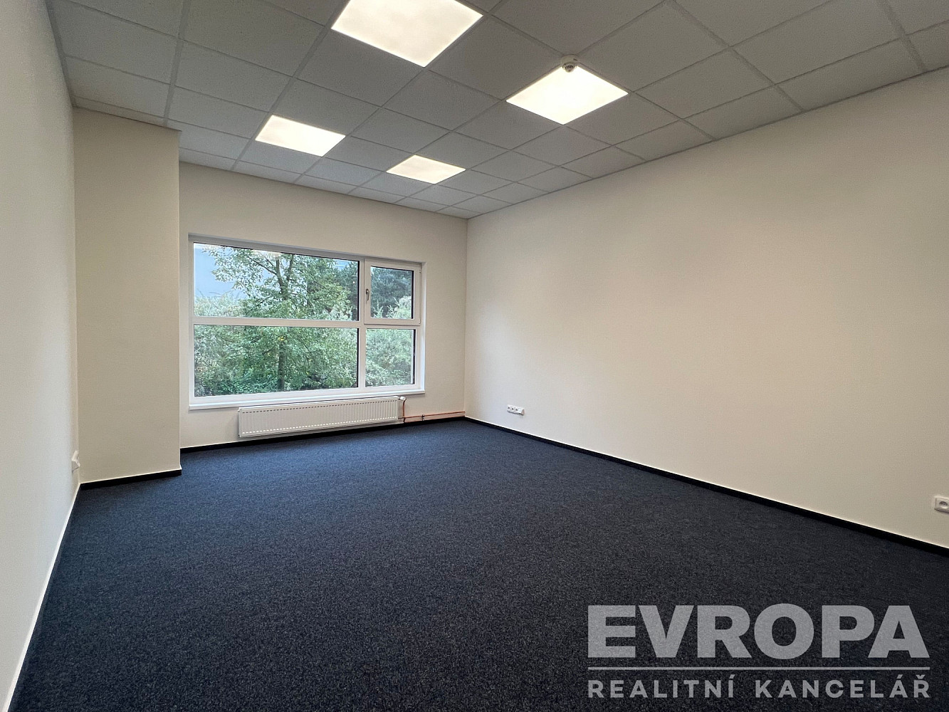 Pronájem kanceláře 19 m² — photo 2