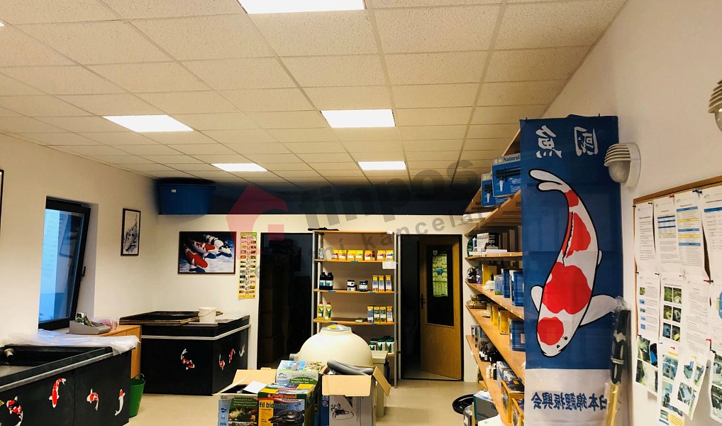 Pronájem obchodních prostor 79 m², Brno – náhled fotky 5