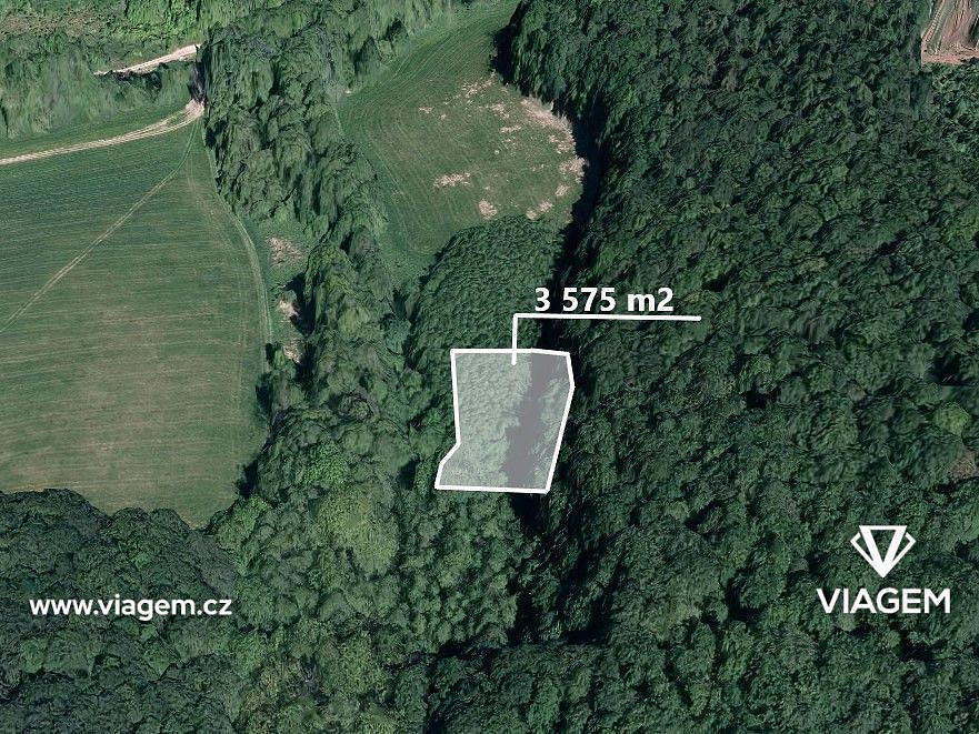 Prodej lesa 2 234 m²