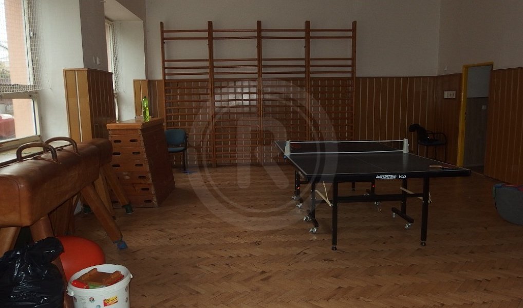 Prodej ubytovacího objektu 876 m², Světlík – náhled fotky 14