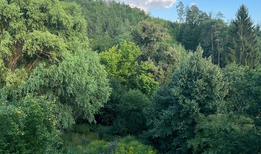 Prodej domu 650 m² s pozemkem 2 052 m², Brno – náhled fotky 18