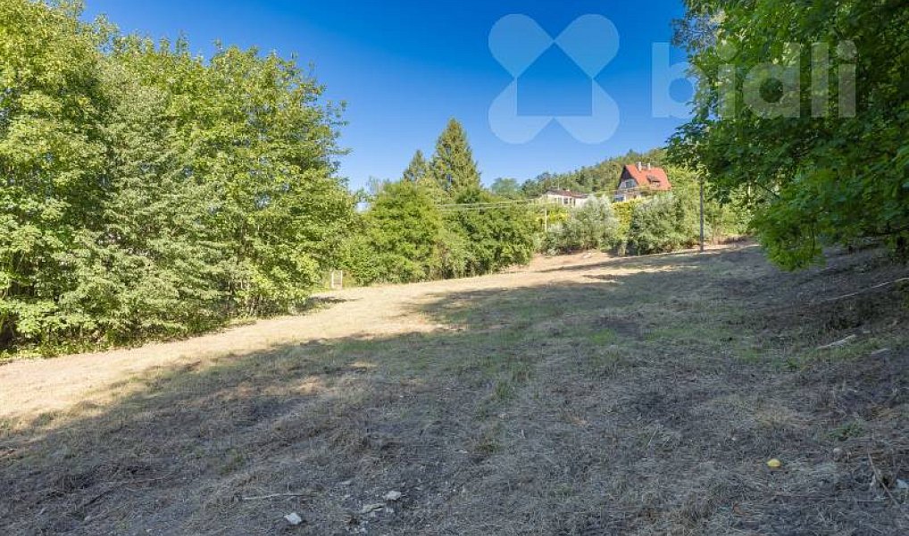 Prodej stavebního pozemku 8 271 m², Hradištko – náhled fotky 16