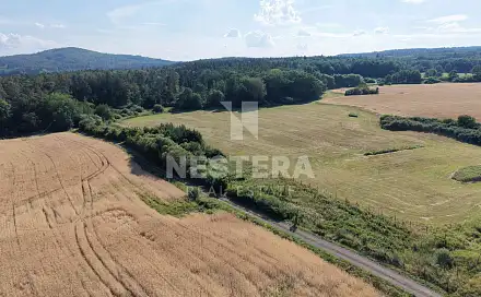Prodej louky 5 165 m², Bzová, okres Beroun
