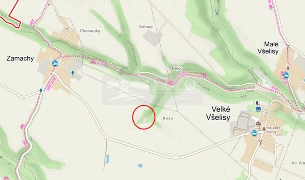 Prodej pozemku 11 900 m², Velké Všelisy – náhled fotky 2