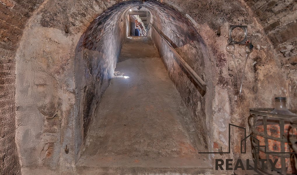 Prodej vinného sklepa na pozemku 450 m2 s ve Strachoticích, okr. Znojmo, Strachotice – náhled fotky 4