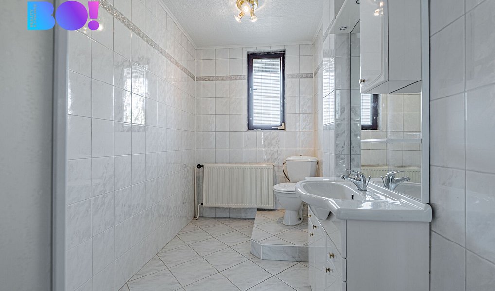 Prodej domu 197 m² s pozemkem 880 m², Budišov nad Budišovkou – náhled fotky 24