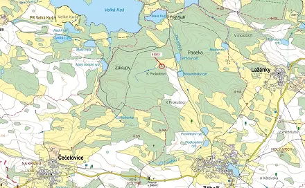 Dražba lesa 180 m², Záboří