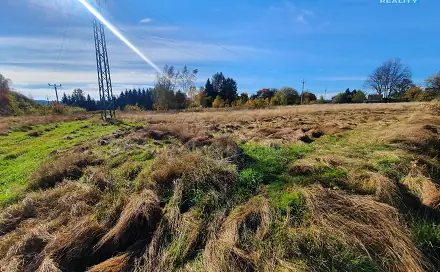 Prodej louky 10 565 m², Rumburk, okres Děčín