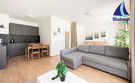 Pronájem bytu 1+kk 45 m², Breitfeldova, Praha 8 - Karlín