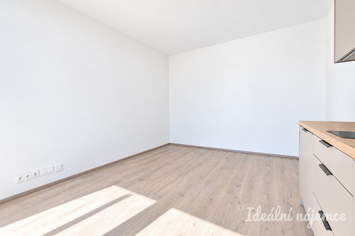 Pronájem bytu 1+kk 40 m² – fotografie 5