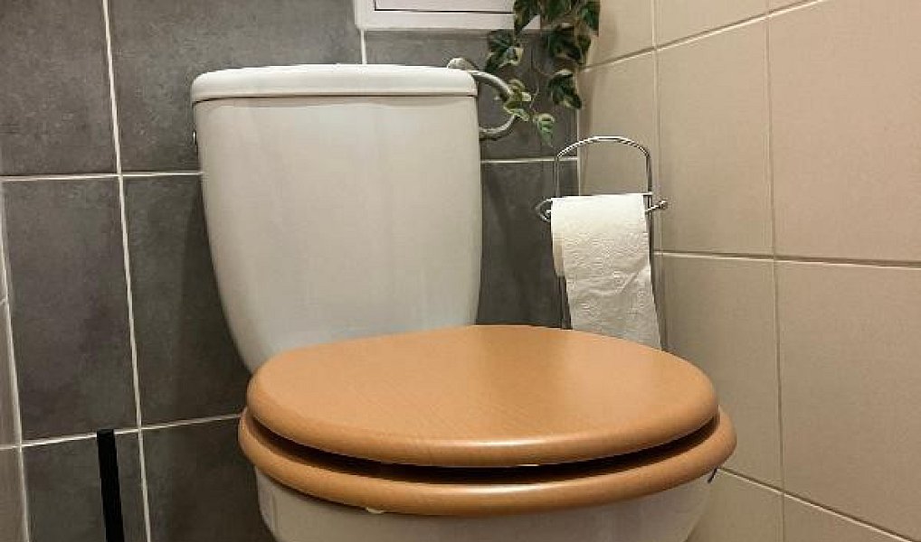 Prodej bytu 3+1 72 m², Kamenice – náhled fotky 15