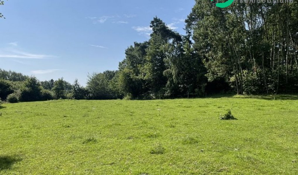 Prodej stavebního pozemku 3 805 m², Kolinec – náhled fotky 5